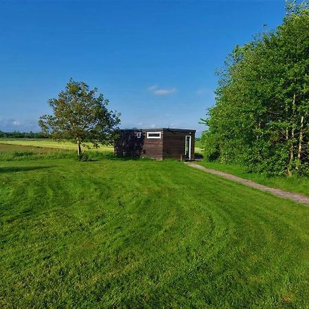 De Veenhoop Tiny House "De Veenpolder" מראה חיצוני תמונה